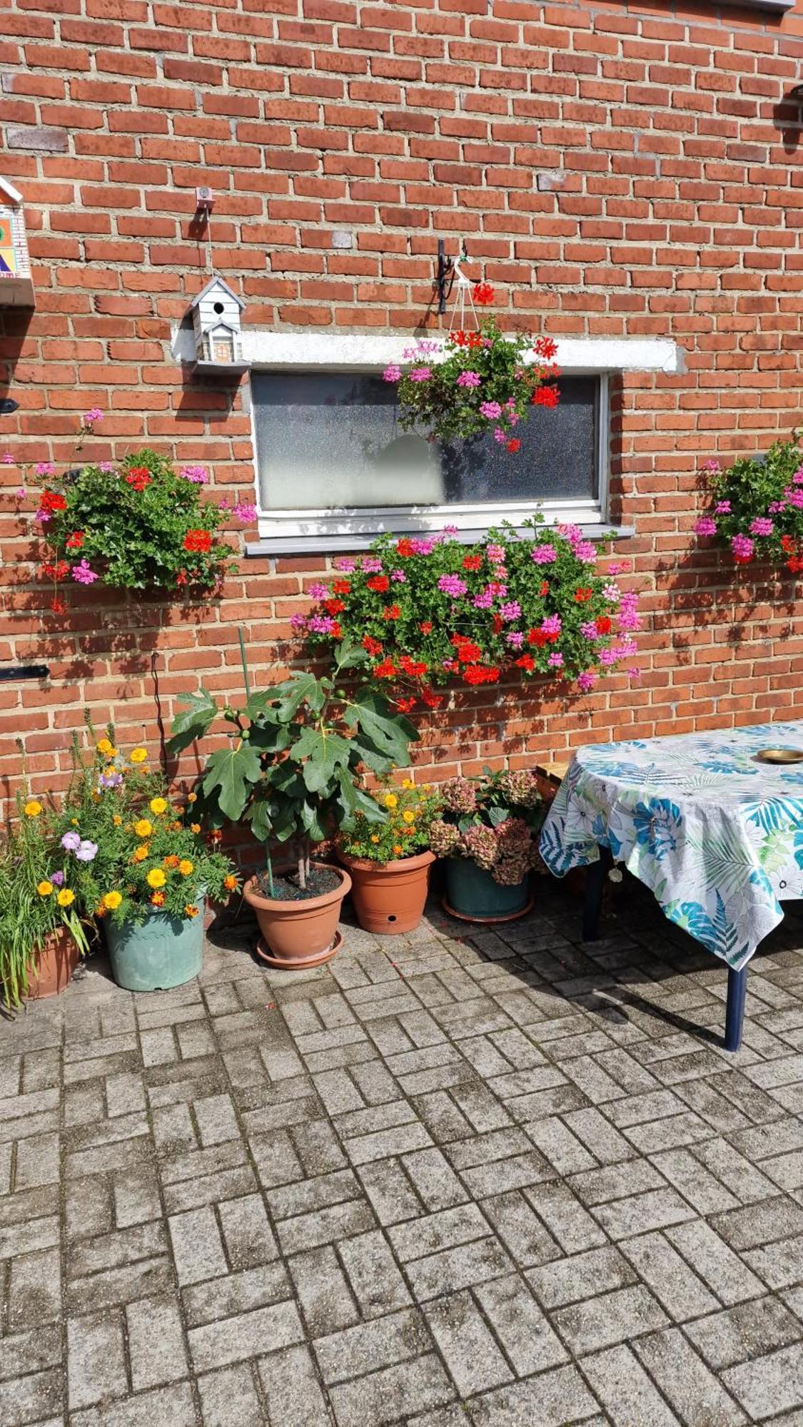 Mignon Apartman Soumagne Kültér fotó